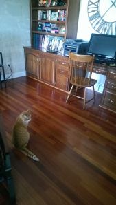 When it's love it's love. Ollie+Printer= 4ever