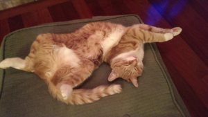 Fire place yoga instructor, ready for duty