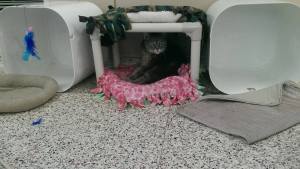 10918497_10155036551265468_2134662446_o