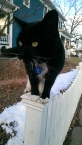 Someone please let me inside... #cutie 