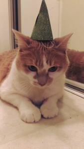 17264323_10158288061580468_6218072924272394718_n